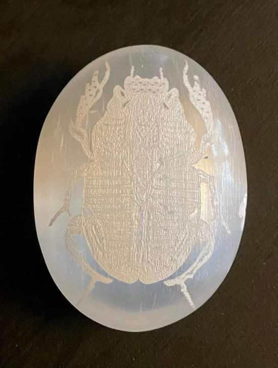 Scarab - Engraved Selenite Palm Stone