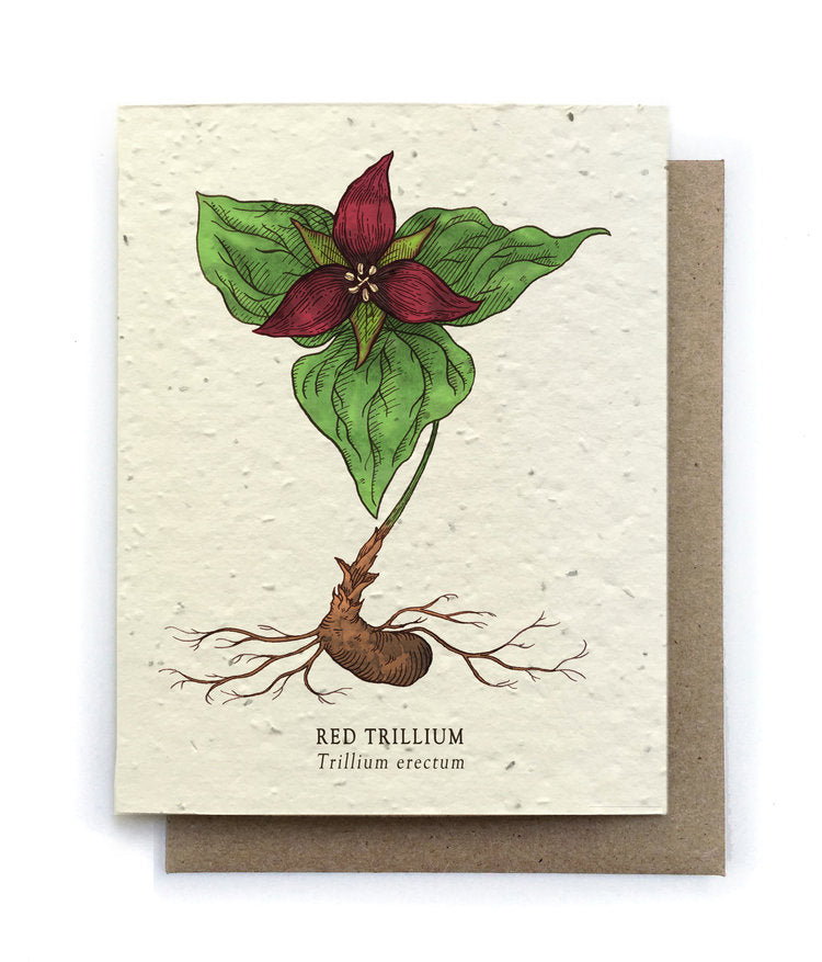 Trillium Botanical Greeting Cards - Plantable Seed Paper